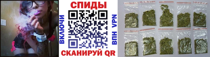 купить   Губкин  мориарти как зайти  Бутират буратино 