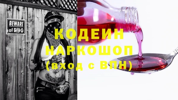 ешки Алзамай