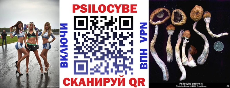 Псилоцибиновые грибы GOLDEN TEACHER  сколько стоит  Губкин 