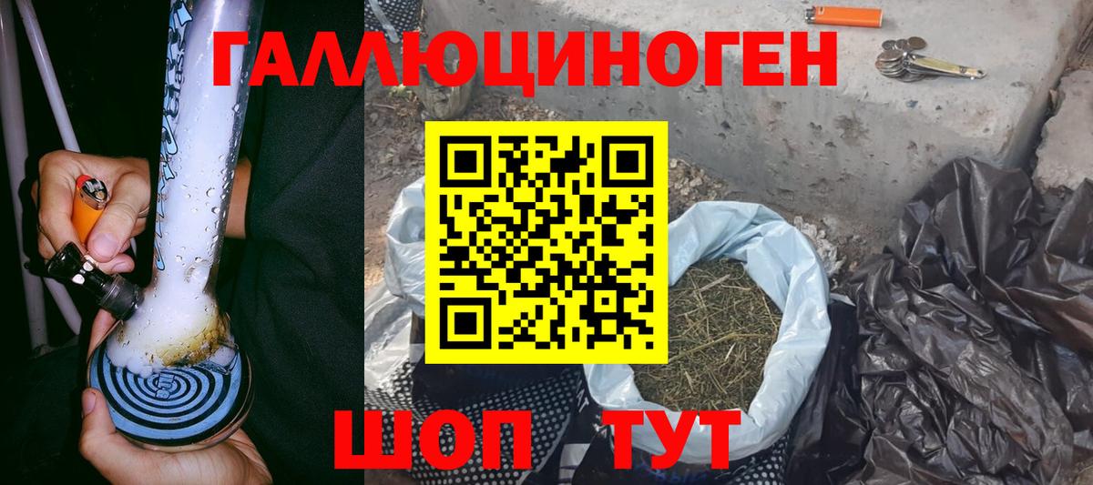 Галлюциногенные грибы Psilocybe Губкин